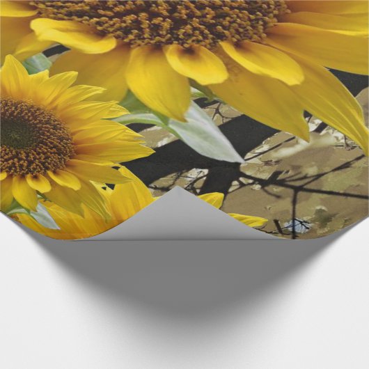 Zonnebloemen voor het verpakken van papier (Hoek)
