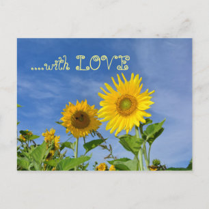 Zonnebloemen voor jou ... briefkaart