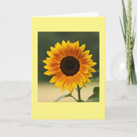 Zonnebloemen Vouwkaart Zomer Kaart (Voorkant)