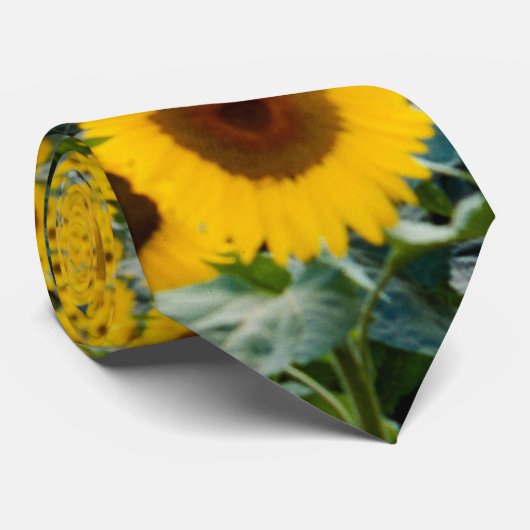 Zonnebloemen, Wisconsin Stropdas (Opgerold)