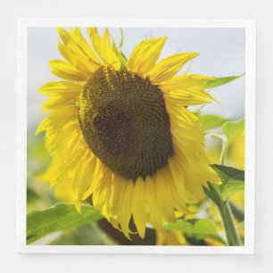 Zonnebloemen Zomer Geheim Servet