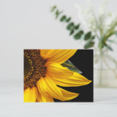 Zonnebloemen - Zonnebloem Gepersonaliseerd Sjabloo Briefkaart (Staand voorkant)