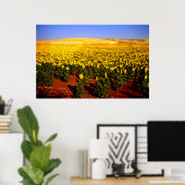 Zonnebloemen, Zuid-Spanje Poster (Thuiskantoor)