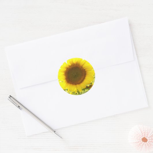 Zonnebloemenstraling Ronde Sticker (Envelop)