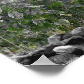 Zonnebloementuin Gedeeltelijke kleur Bloem Poster (Hoek)