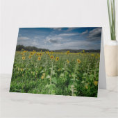 "Zonnebloemenveld" Bedankkaart (Voorkant)