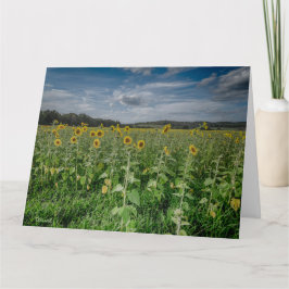 "Zonnebloemenveld" Bedankkaart