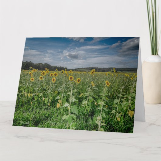 "Zonnebloemenveld" Bedankkaart (Voorkant)