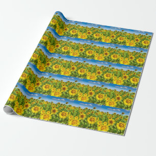 Zonnebloemenveld, zonnige zomerdag. cadeaupapier