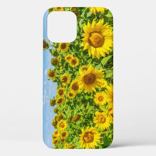 Zonnebloemenveld, zonnige zomerdag. Case-Mate iPhone case (Achterkant)