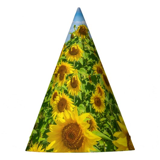 Zonnebloemenveld, zonnige zomerdag. feesthoedjes (Voorkant)
