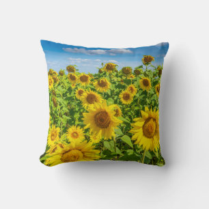Zonnebloemenveld, zonnige zomerdag. kussen