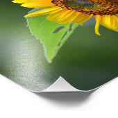 Zonnebloemfotoafdrukken Foto Afdruk (Hoek)