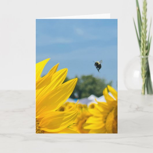 Zonnebloemfotografie met hommel Lege kaart (Voorkant)