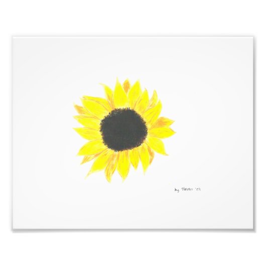 Zonnebloemfotopapier Foto Afdruk (Voorkant)