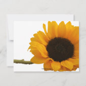 Zonnebloemfotoplatte notitiekaarten kaart (Achterkant)