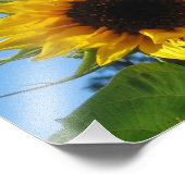 ZonnebloemfotoPrints - Kodak Professional Paper Foto Afdruk (Hoek)