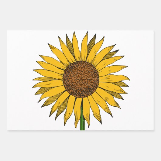 Zonnebloemgele bloem inpakpapier vel (Voorkant 2)