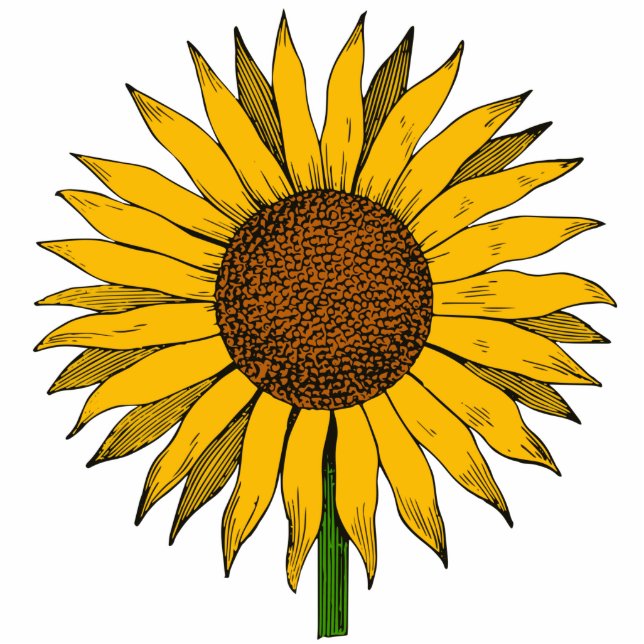 Zonnebloemgele bloem staand fotobeeldje  (Voorkant)