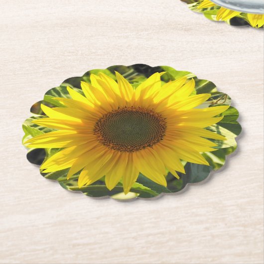 Zonnebloemglanzend Onderzetter (Gekanteld)