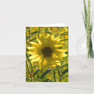 Zonnebloemgloed Wenskaart Kaart