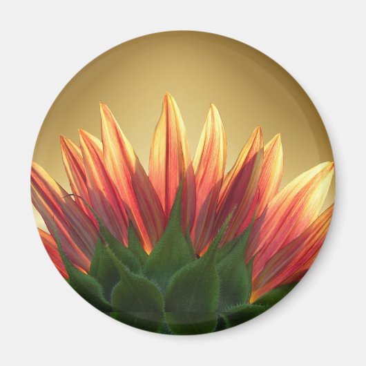 Zonnebloemgoud ~ Magneet (Voorkant)