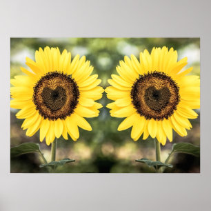 Zonnebloemharten uit liefde poster
