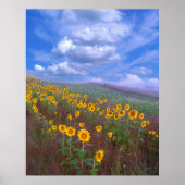 Zonnebloemheuvel, poster (Voorkant)