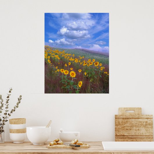 Zonnebloemheuvel, poster (Keuken)