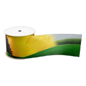 ZONNEBLOEMHEUVEL SATIJNEN LINT (Spoel)