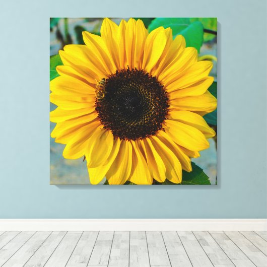 Zonnebloemhoogte Canvas Afdruk (Insitu (Houten vloer))