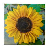 Zonnebloemhoogte Tegeltje (Voorkant)