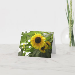 Zonnebloemkaart (Helianthus) Feestdagen Kaart