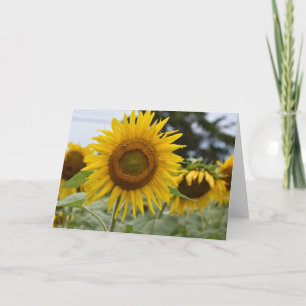 Zonnebloemkaart Kaart
