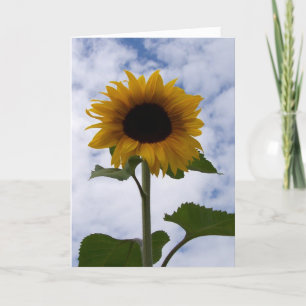 Zonnebloemkaart Kaart