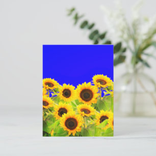 Zonnebloemkaart Oekraïense Vlagkleuren - Steun RSVP Kaartje