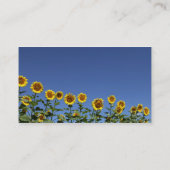 Zonnebloemkaart Visitekaartje (Achterkant)