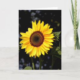 Zonnebloemkaartje Kaart