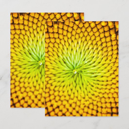 Zonnebloemkaartjes Notitiekaartje (Voorkant / Achterkant)