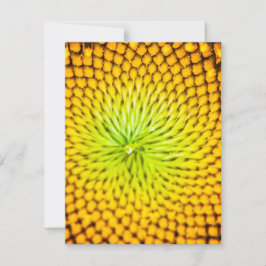 Zonnebloemkaartjes Notitiekaartje