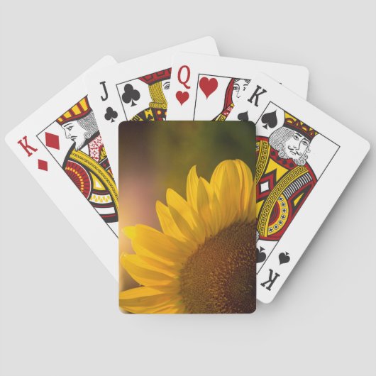 Zonnebloemkaartjes Pokerkaarten (Achterkant)