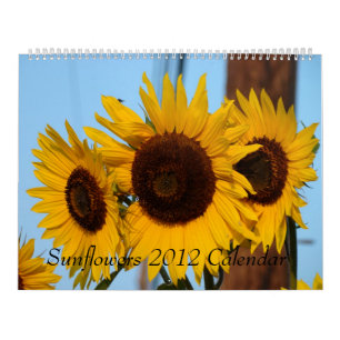 Zonnebloemkalender 2012 kalender