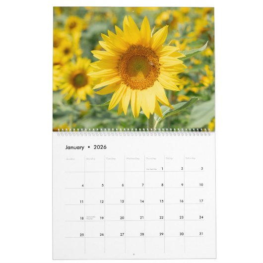 Zonnebloemkalender Kalender (Jan 2026)