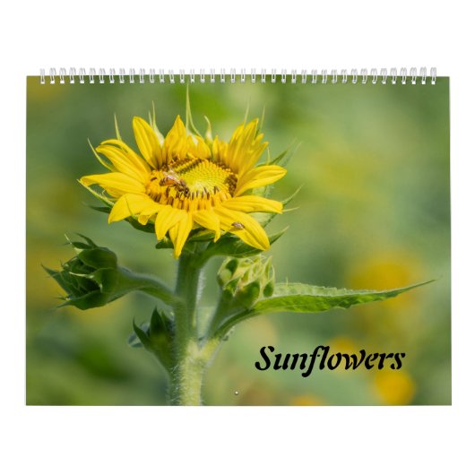 Zonnebloemkalender Kalender (Hoes)
