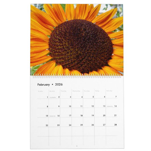 Zonnebloemkalender - Zonnebloemen van de maand 202 Kalender (Feb 2026)