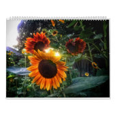Zonnebloemkalender - Zonnebloemen van de maand 202 Kalender (Hoes)