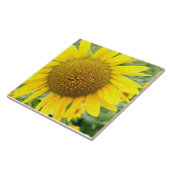 Zonnebloemkeramische tegel 6 inch tegeltje (Zijkant)