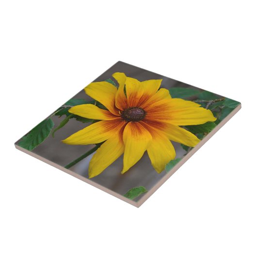 Zonnebloemkeramische tegel tegeltje (Zijkant)
