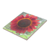 Zonnebloemkeramische tegel tegeltje (Zijkant)