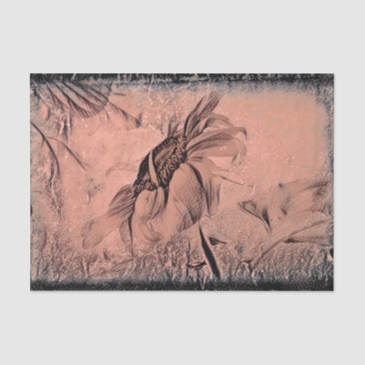 Zonnebloemketch Sepia Antiek ontkoppelen Tissuepapier (Voorkant)